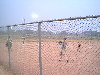 /PBB/PhotoGallery/SoftBall/00/